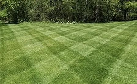 Affordable garden landscaping in Versailles, MO by Nca Painting & Drywall