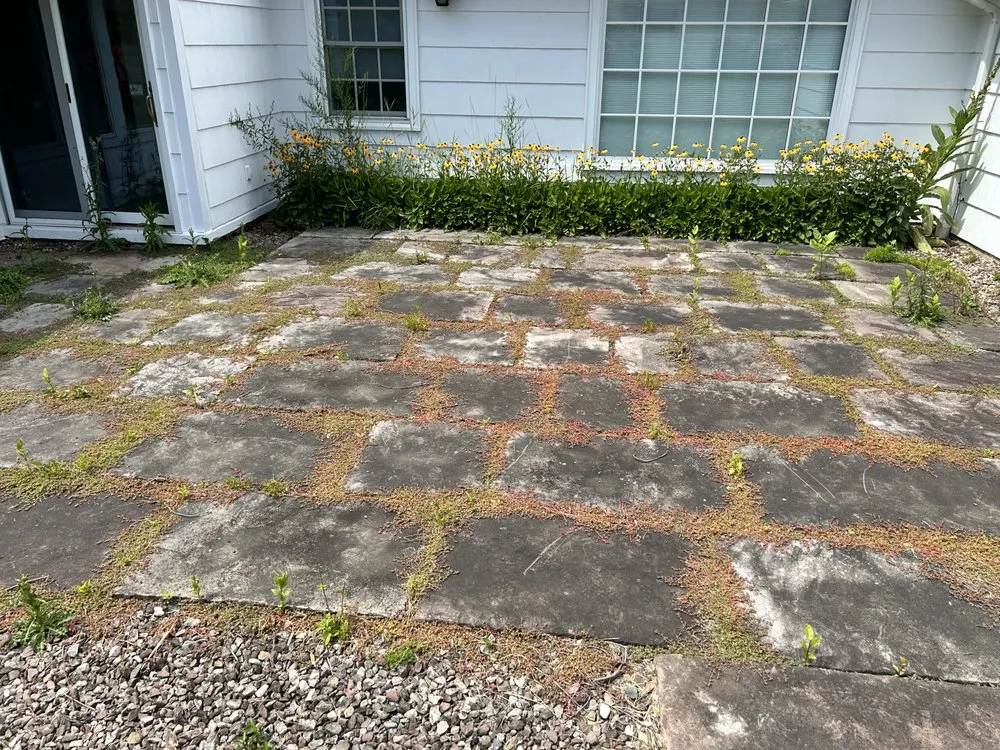 Trusted landscaping services experts serving Clarence, NY - NCC Landscaping & Cleaning Services