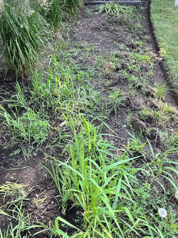 Custom garden landscaping experts serving Clarence, NY - NCC Landscaping & Cleaning Services