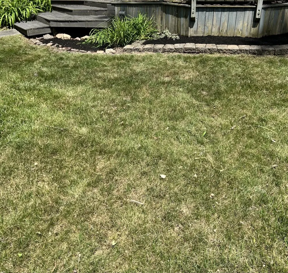 Local landscape design for outdoor upgrades in Clarence, NY by NCC Landscaping & Cleaning Services