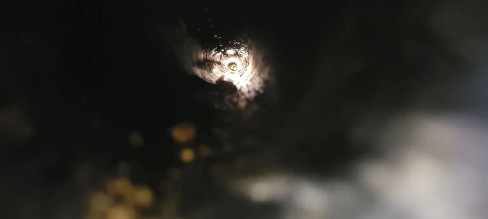 Trusted residential landscaping for beautiful yards across Vista, CA - NCJ landscaping outdoor creations