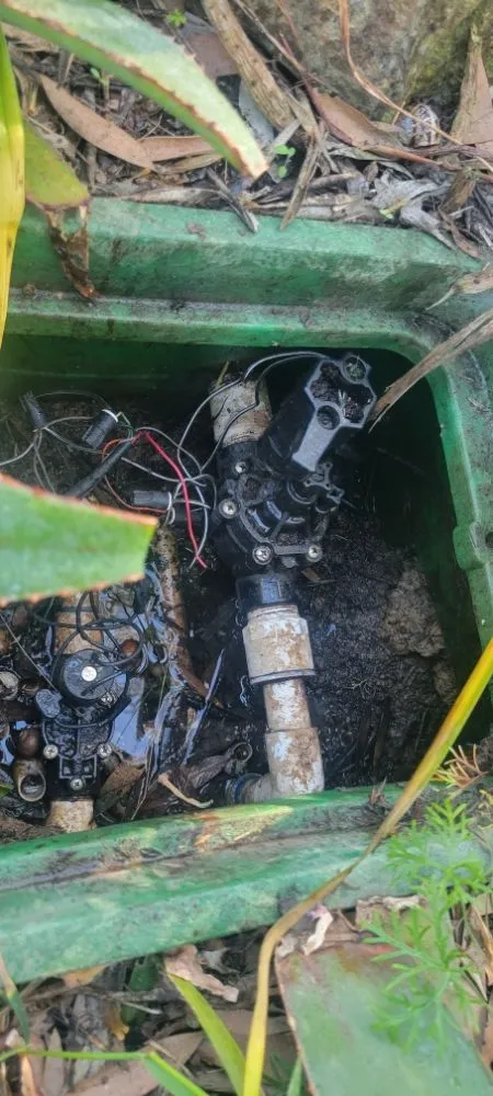 Professional landscape design experts serving Vista, CA - NCJ landscaping outdoor creations