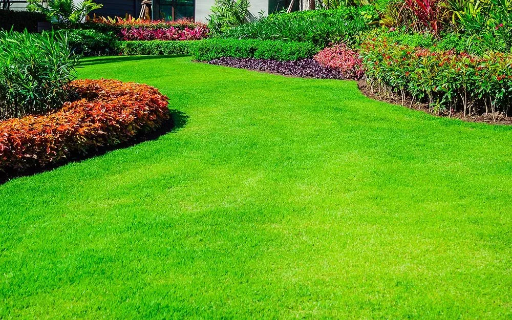 Top-rated landscaping services for residential properties across Menlo Park, CA - NCP Landscaping