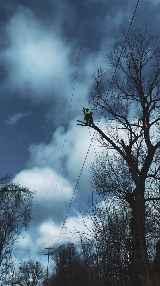 Reliable yard maintenance experts serving St. Regis Falls, NY - NCR Tree & Lawn Care