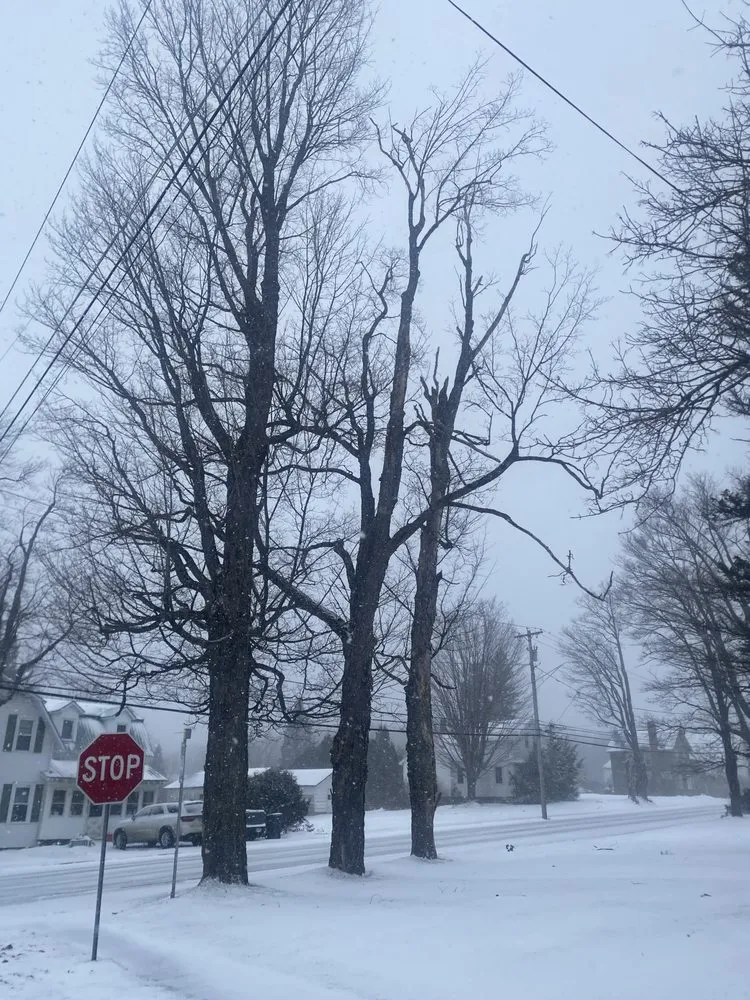 Local residential landscaping in St. Regis Falls, NY by NCR Tree & Lawn Care