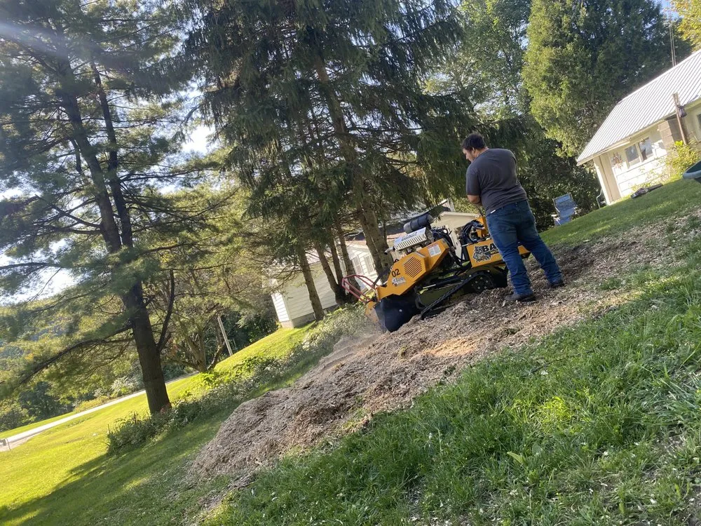 Local landscape installation for outdoor upgrades across St. Regis Falls, NY - NCR Tree & Lawn Care