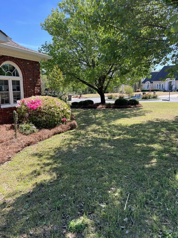 Professional landscape design near you across Goldsboro, NC - NCW Lawn Care