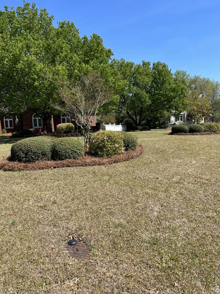 Professional outdoor landscaping for year-round maintenance across Goldsboro, NC - NCW Lawn Care