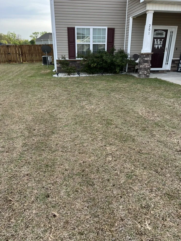 Top-rated landscape design for homes across Goldsboro, NC - NCW Lawn Care