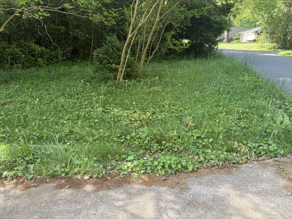 Affordable yard cleanup service near you across Granite Falls, NC - NCW Mowing and More