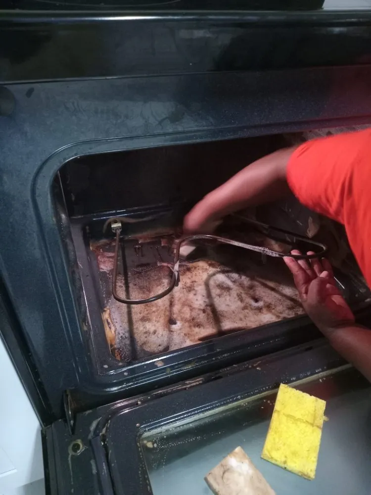 Trusted yard maintenance near you in Orlando, FL by ND Cleaning & Lawn Care