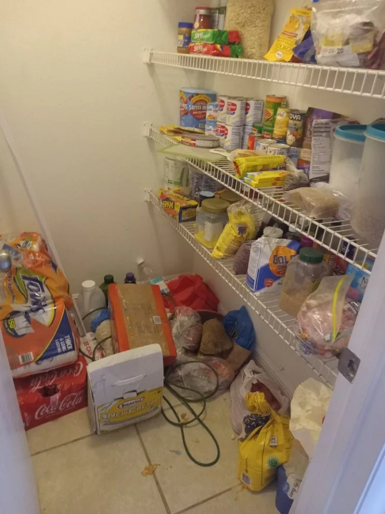 Trusted yard cleanup service near you in Orlando, FL by ND Cleaning & Lawn Care