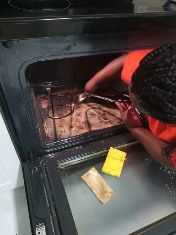 Top-rated landscaping services experts serving Orlando, FL - ND Cleaning & Lawn Care