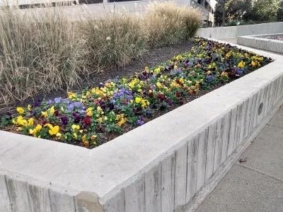 Top-rated outdoor landscaping for residential properties across Pilot Point, TX - ND Fence