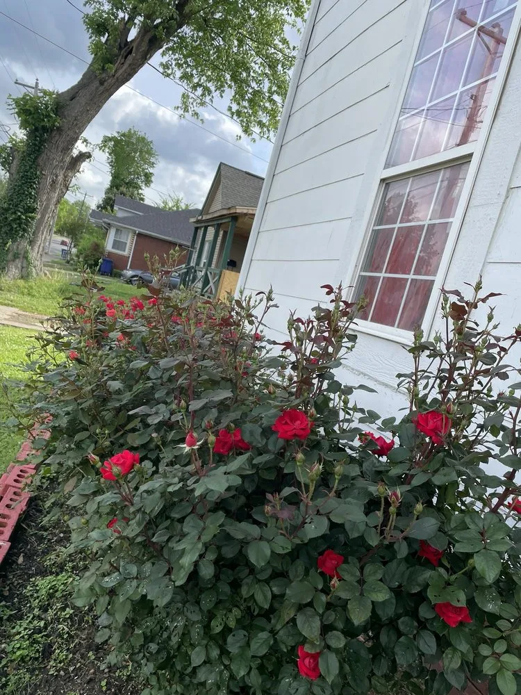 Expert yard cleanup service for outdoor upgrades in Mayfield, KY by N&D Landscape and Lawncare