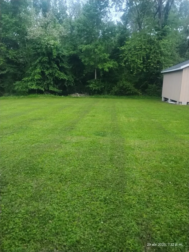 Trusted landscape installation for year-round maintenance across Mayfield, KY - N&D Landscape and Lawncare