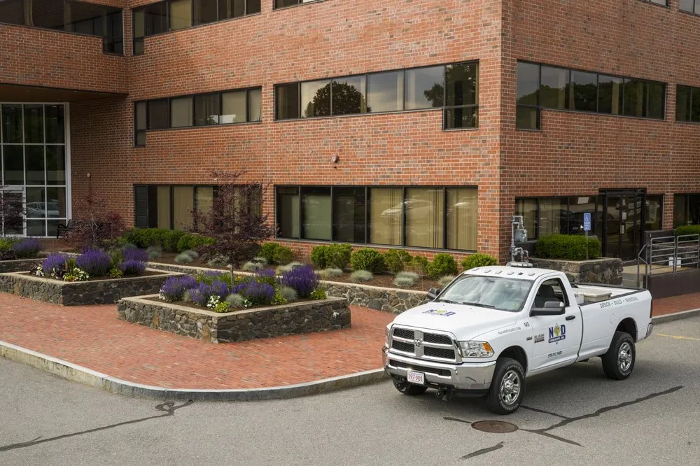 Affordable yard cleanup service in Georgetown, MA by ND Landscape Services