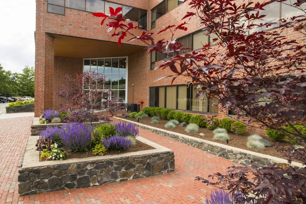 Expert yard maintenance in Georgetown, MA - ND Landscape Services