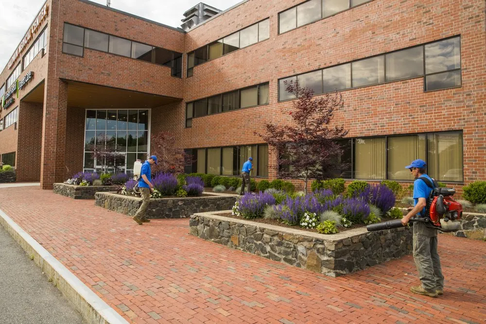 Affordable yard cleanup service for outdoor upgrades across Georgetown, MA - ND Landscape Services