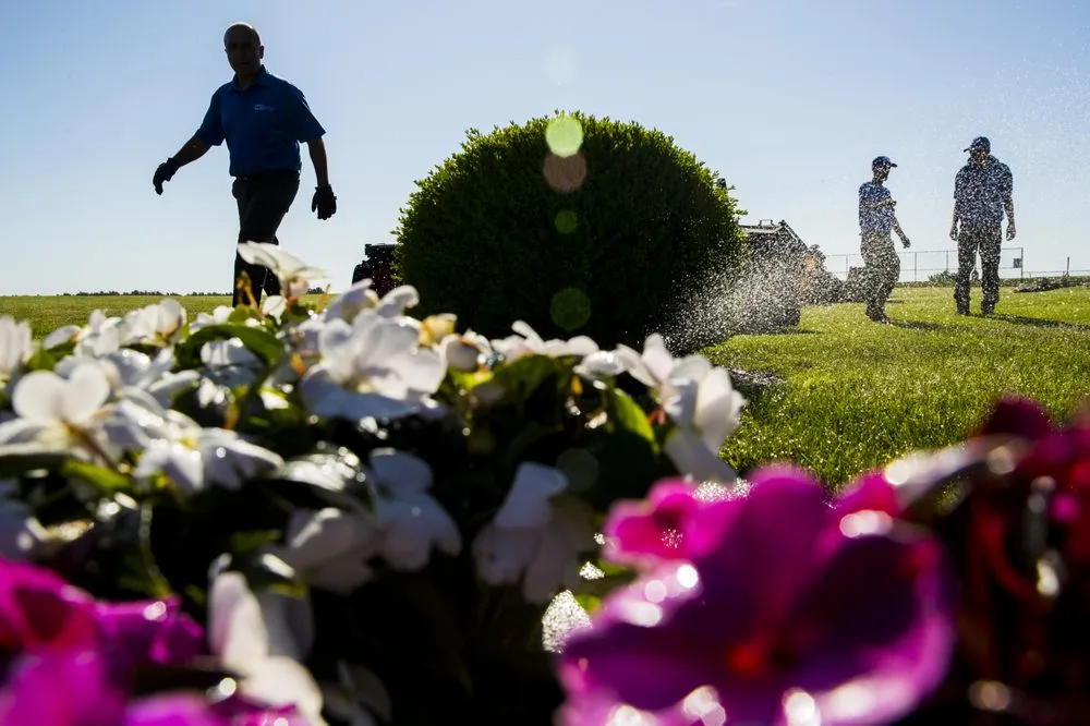 Local landscape design for year-round maintenance across Georgetown, MA - ND Landscape Services