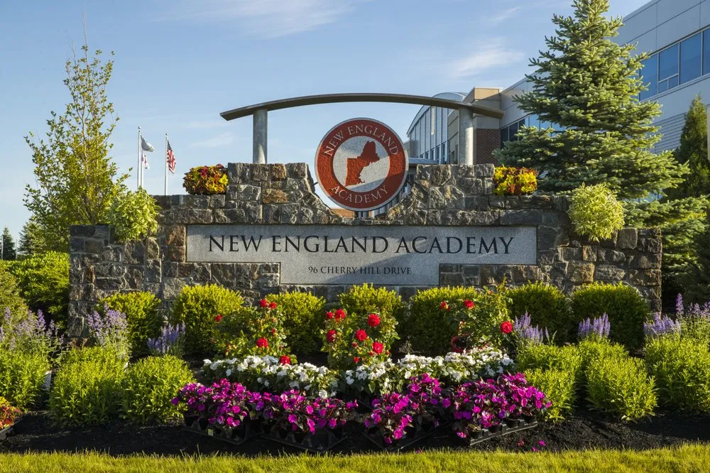 Top-rated yard cleanup service for year-round maintenance across Georgetown, MA - ND Landscape Services