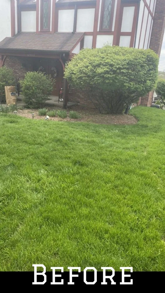 Reliable landscape installation for homes in Bethel Park, PA by ND Landscaping