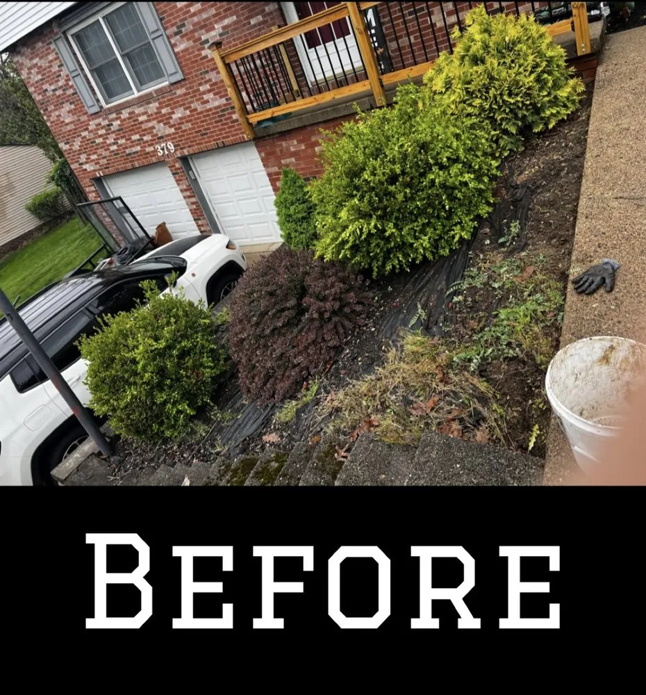 Reliable garden landscaping for residential properties across Bethel Park, PA - ND Landscaping