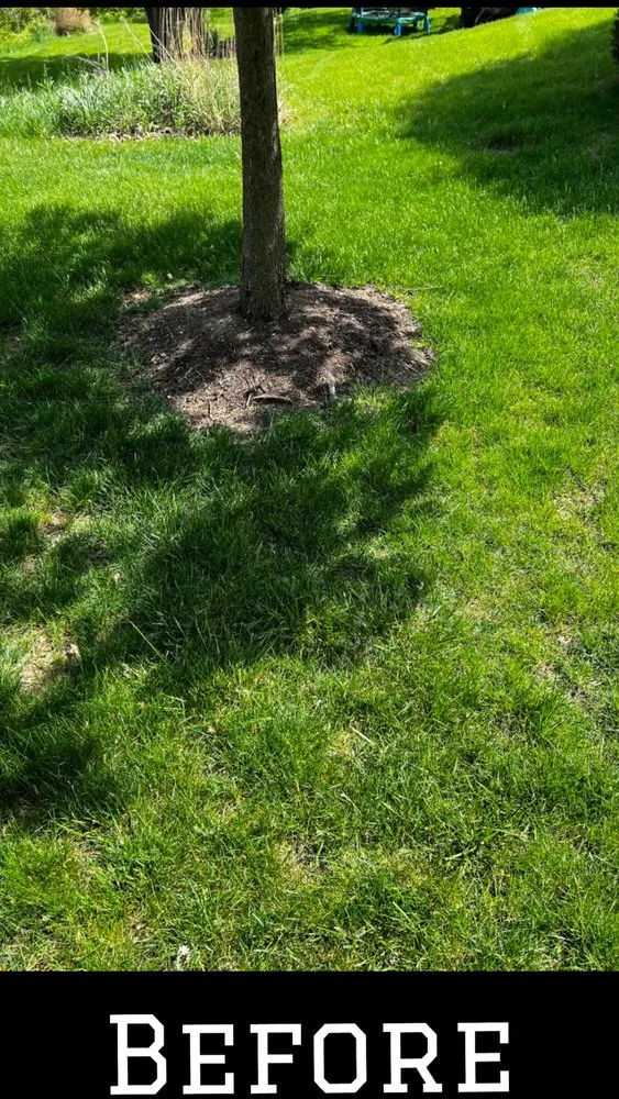 Custom yard cleanup service in Bethel Park, PA by ND Landscaping