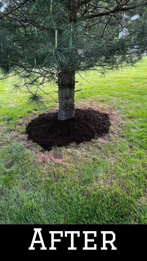 Affordable landscape installation for residential properties across Bethel Park, PA - ND Landscaping