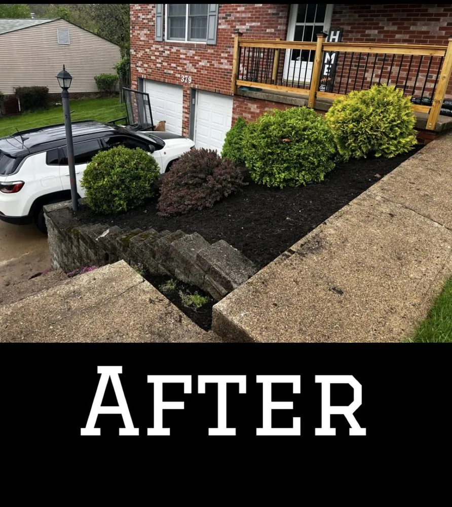 Reliable lawn care service experts serving Bethel Park, PA - ND Landscaping