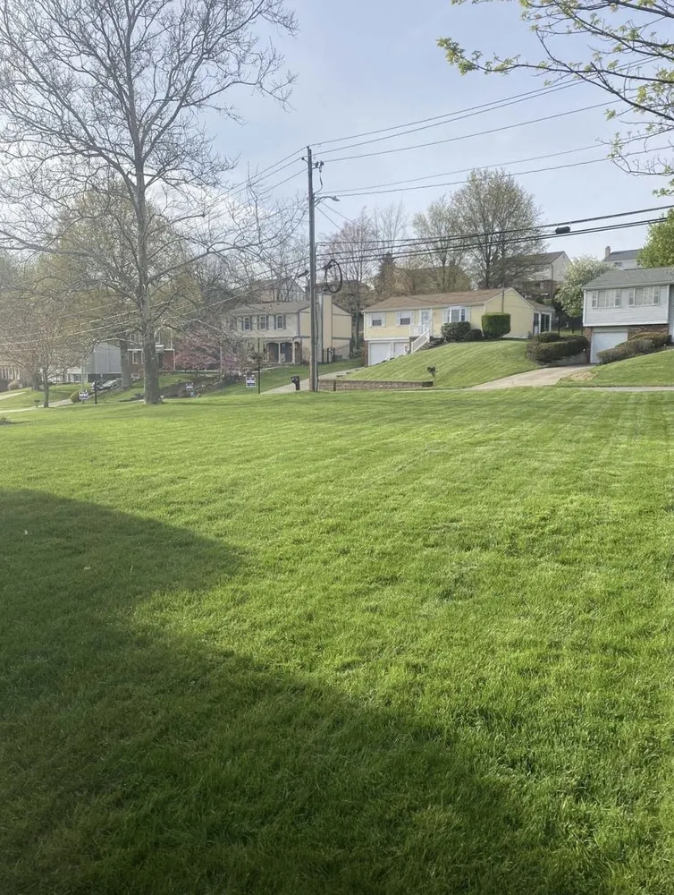 Reliable garden landscaping near you in Bethel Park, PA by ND Landscaping