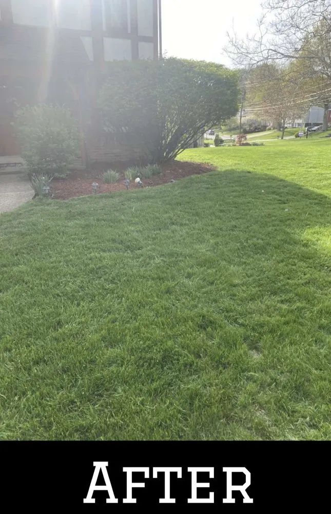 Expert outdoor landscaping in Bethel Park, PA by ND Landscaping