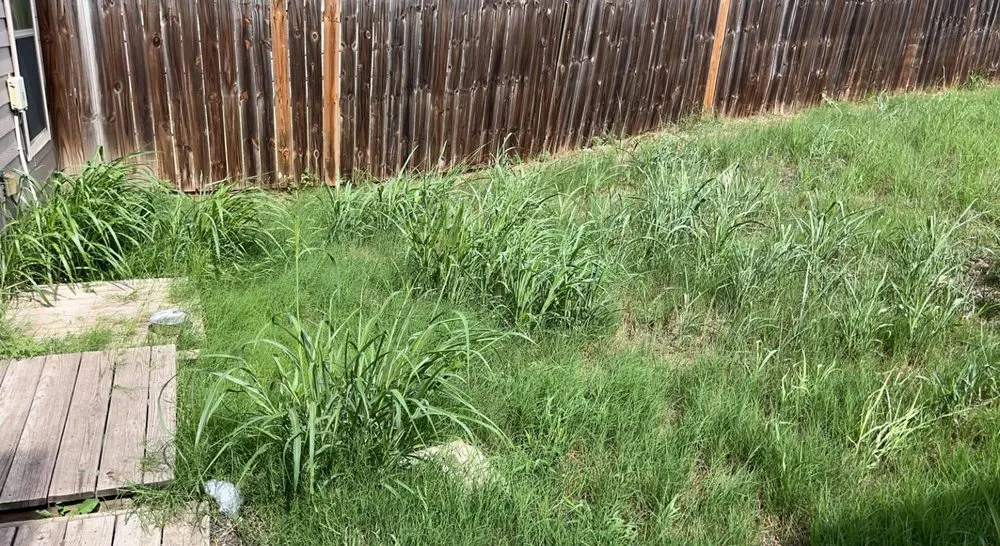 Local landscape installation experts serving New Braunfels, TX - N&D Landscaping