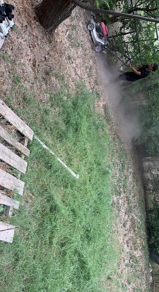 Reliable landscaping services for beautiful yards across New Braunfels, TX - N&D Landscaping