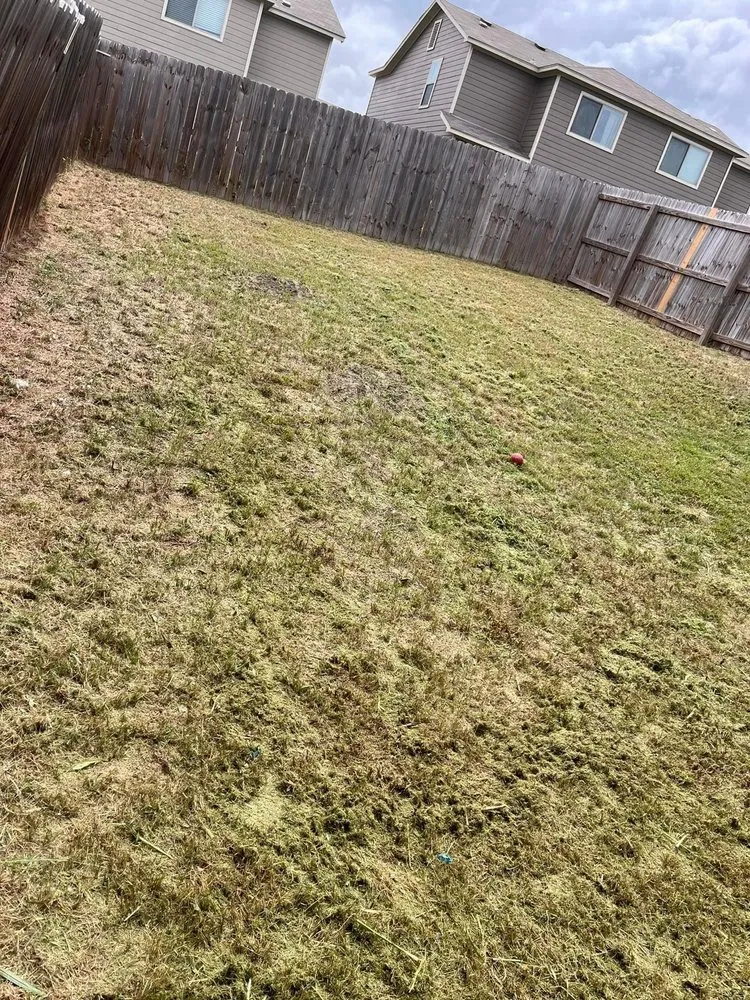 Trusted landscape installation in New Braunfels, TX by N&D Landscaping