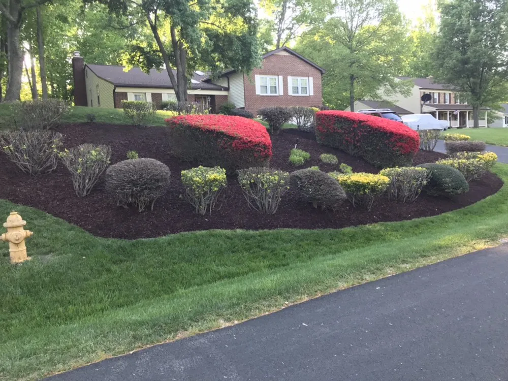 Local landscape installation for year-round maintenance across Woodbridge, VA - ND Landscaping