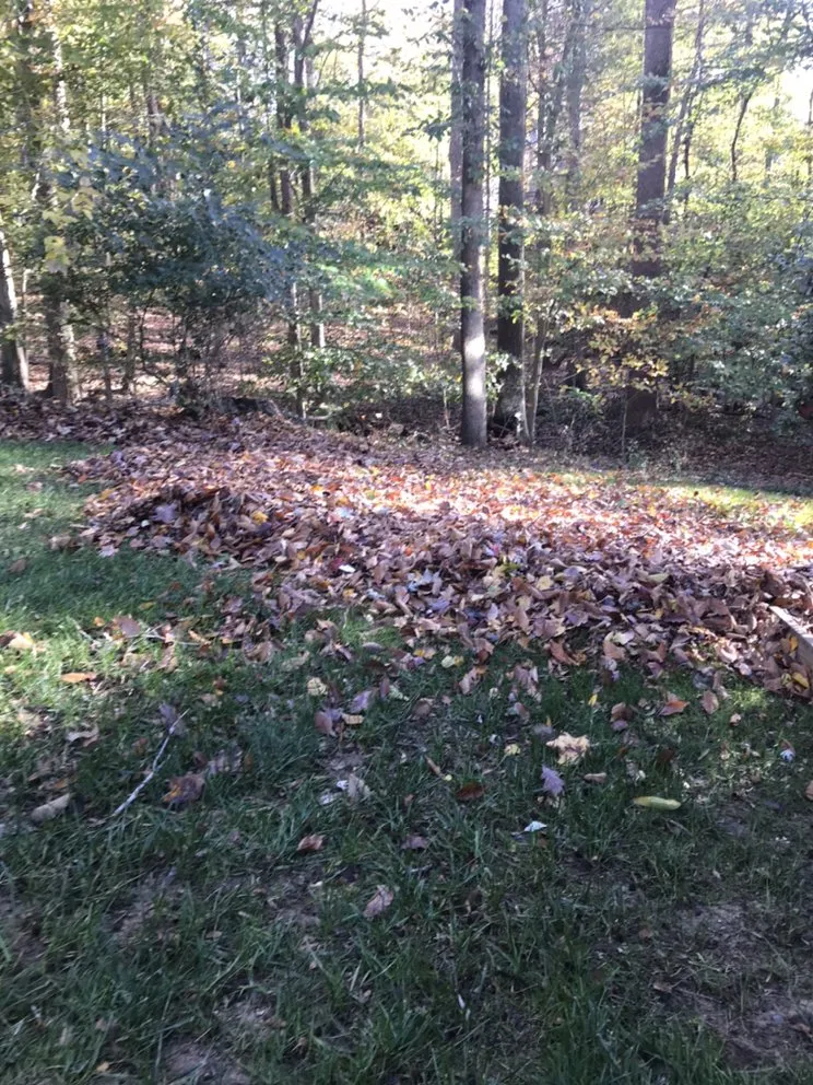 Expert yard maintenance in Woodbridge, VA by ND Landscaping