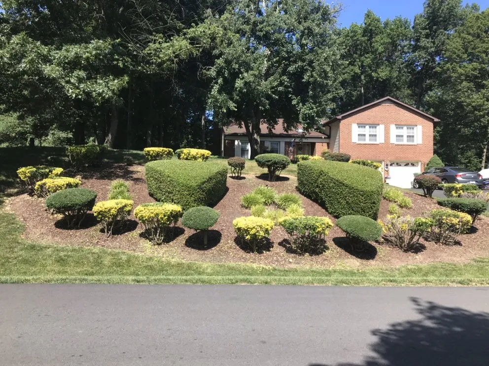 Expert yard cleanup service for outdoor upgrades across Woodbridge, VA - ND Landscaping