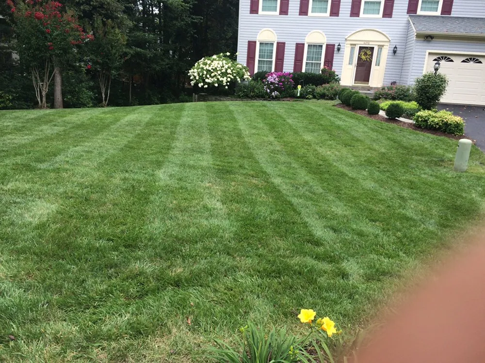 Expert yard cleanup service experts serving Woodbridge, VA - ND Landscaping