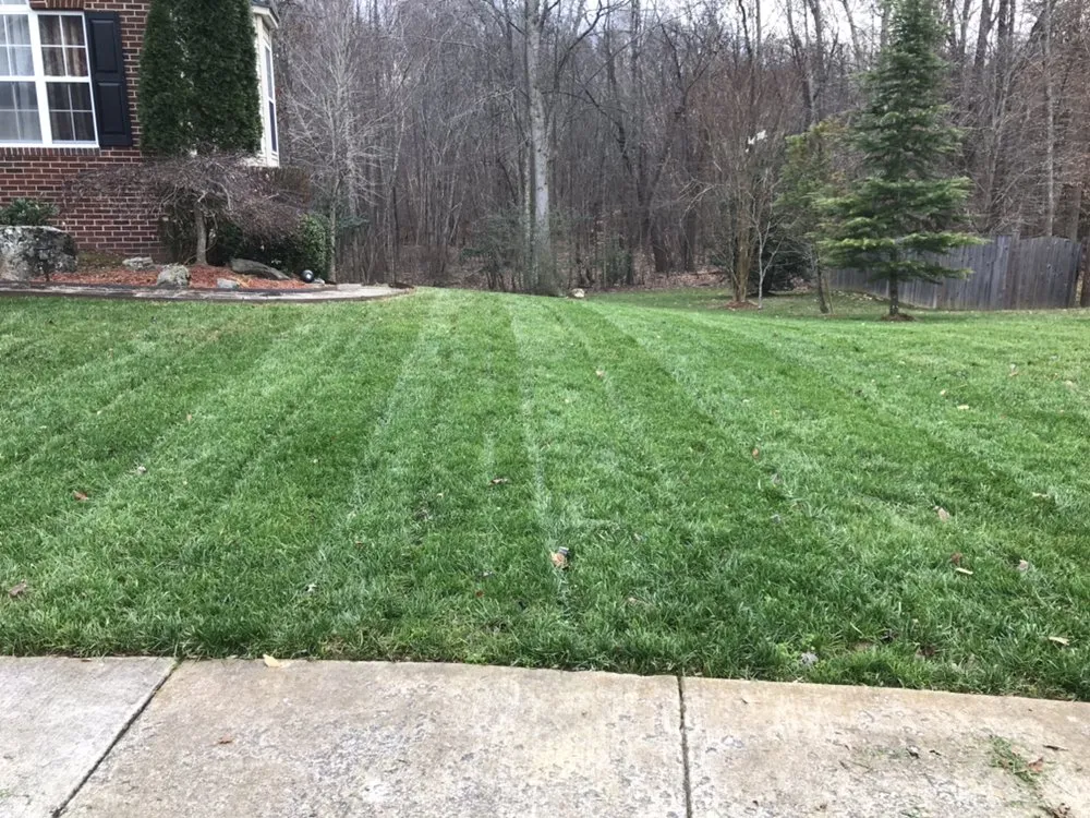 Trusted outdoor landscaping for year-round maintenance in Woodbridge, VA by ND Landscaping