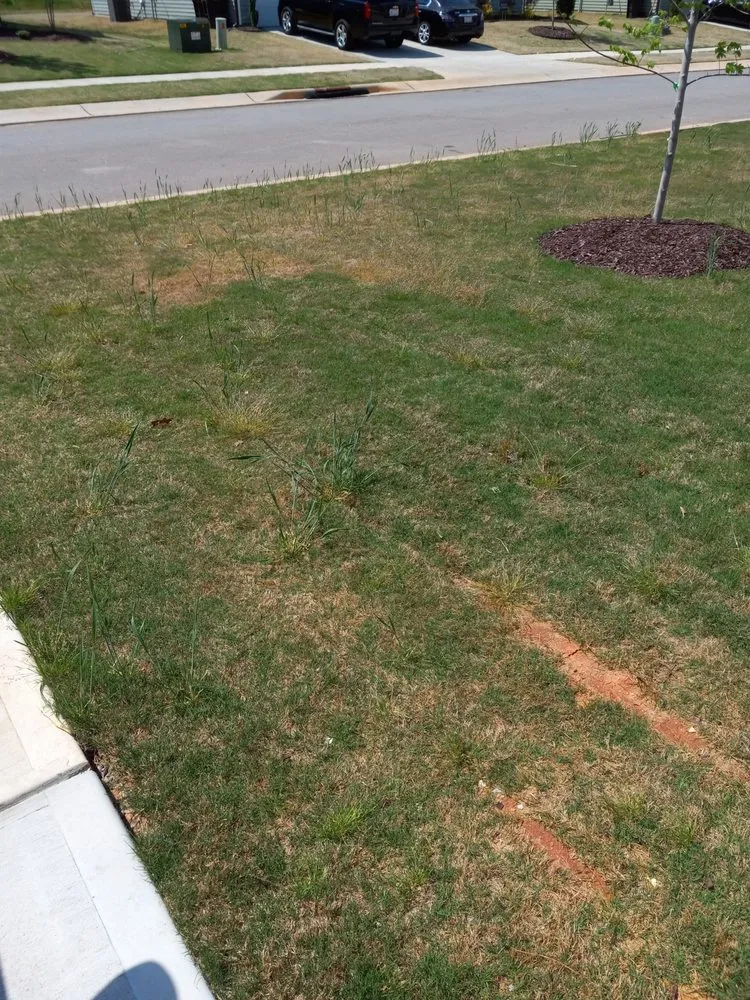 Reliable garden landscaping in Sanford, NC - N&D Lawn Care