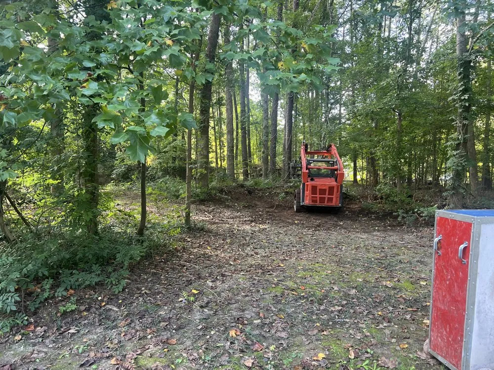 Expert yard cleanup service in Sanford, NC by N&D Lawn Care