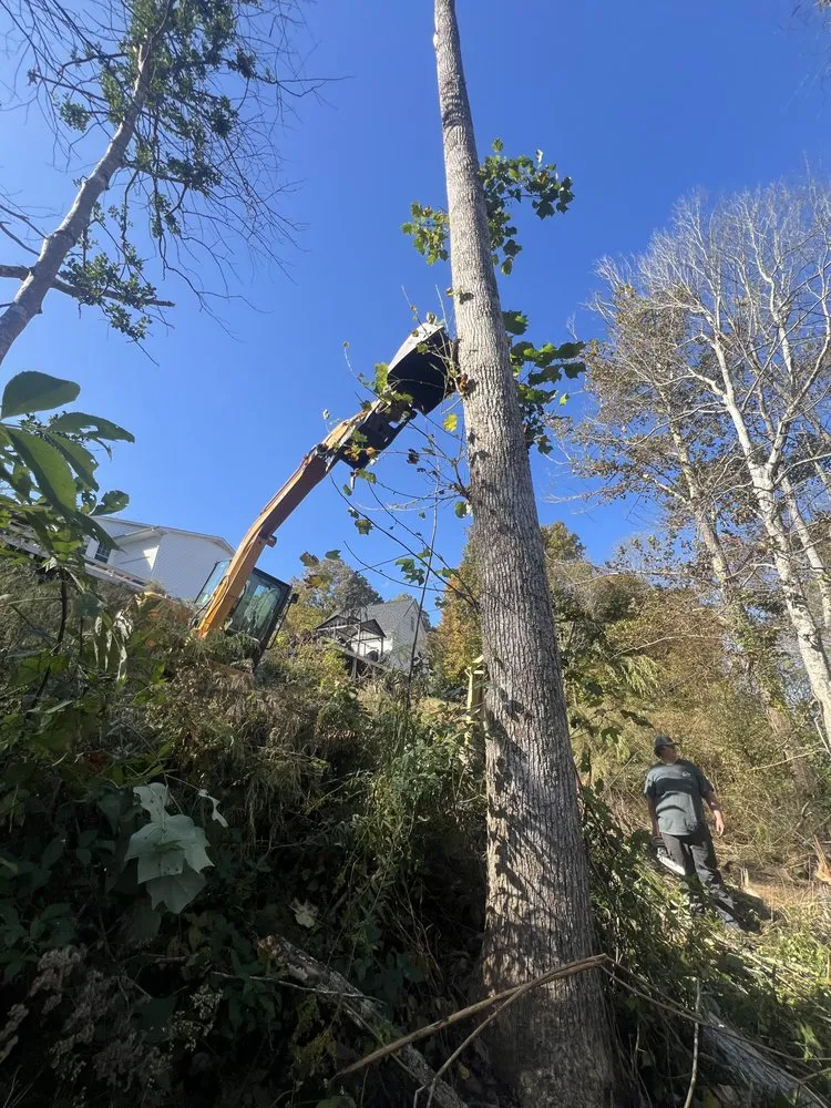 Local residential landscaping for outdoor upgrades in Sanford, NC by N&D Lawn Care