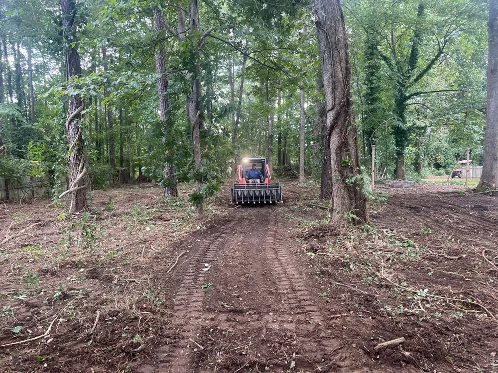 Professional outdoor landscaping for residential properties in Sanford, NC by N&D Lawn Care