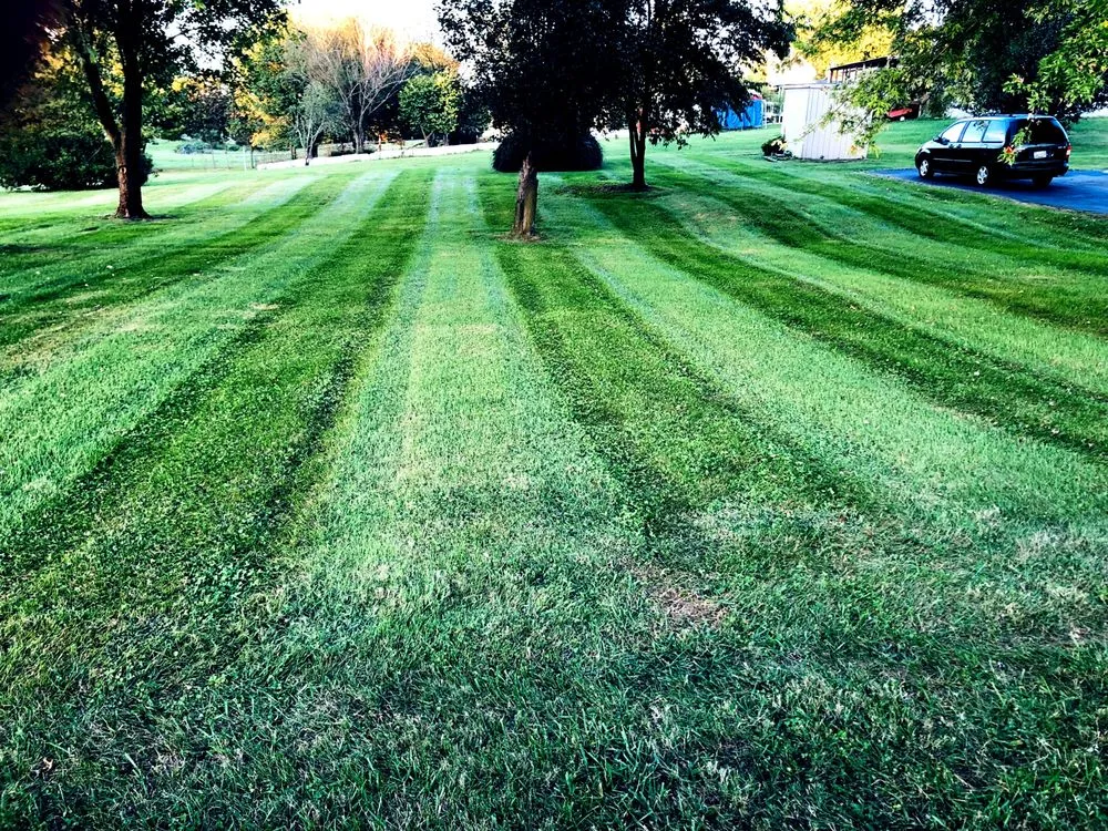 Affordable lawn mowing service experts serving Jefferson City, TN - N&D Lawncare
