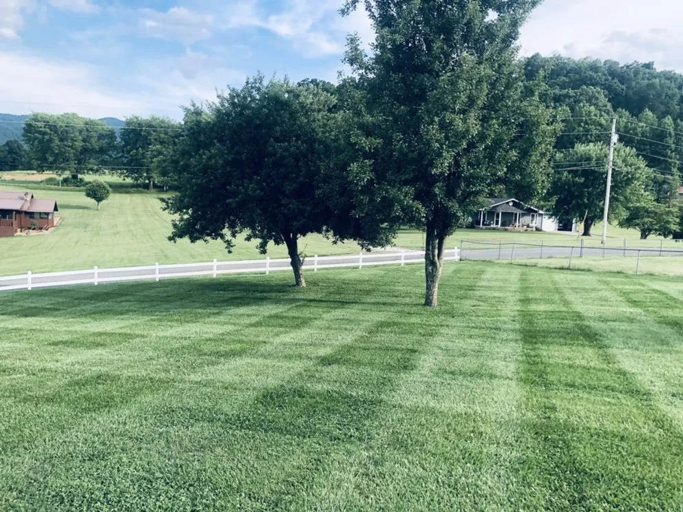 Expert landscape installation in Jefferson City, TN - N&D Lawncare