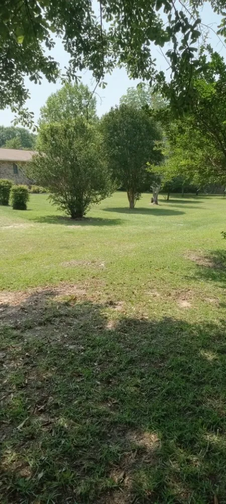 Trusted yard maintenance experts serving Aiken, SC - ND Works