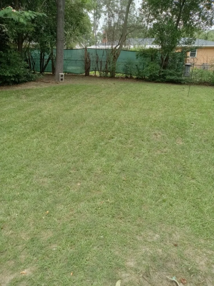 Professional landscape installation in Aiken, SC - ND Works