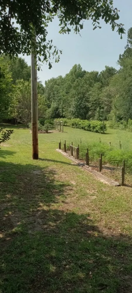 Trusted yard cleanup service in Aiken, SC by ND Works