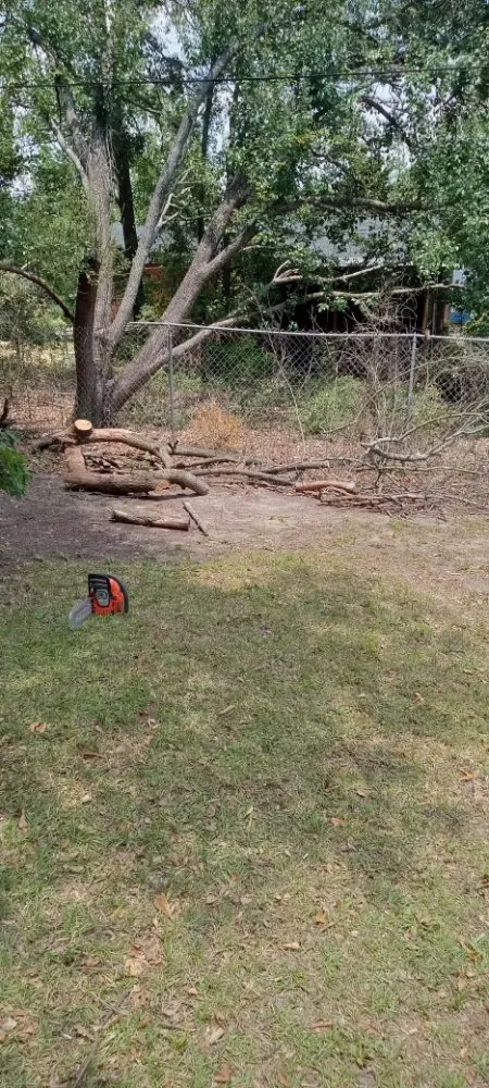 Trusted garden landscaping for year-round maintenance across Aiken, SC - ND Works